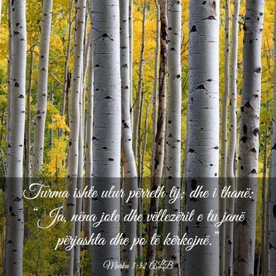 Picture 03 - Marku 3:32 ALB - Turma ishte ulur përreth tij; dhe i thanë: - Bible Verse Picture