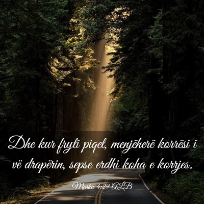 Picture 03 - Marku 4:29 ALB - Dhe kur fryti piqet, menjëherë korrësi i vë - Bible Verse Picture