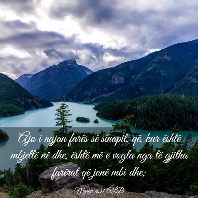 Picture 03 - Marku 4:31 ALB - Ajo i ngjan farës së sinapit, që, kur është - Bible Verse Picture