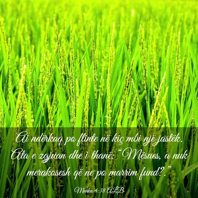 Picture 03 - Marku 4:38 ALB - Ai ndërkaq po flinte në kiç mbi një jastëk. - Bible Verse Picture