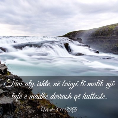 Picture 03 - Marku 5:11 ALB - Tani aty ishte, në brinjë të malit, një tufë - Bible Verse Picture