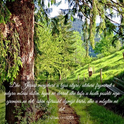 Picture 03 - Marku 5:13 ALB - Dhe Jezusi menjëherë u lejoi atyre; atëherë - Bible Verse Picture