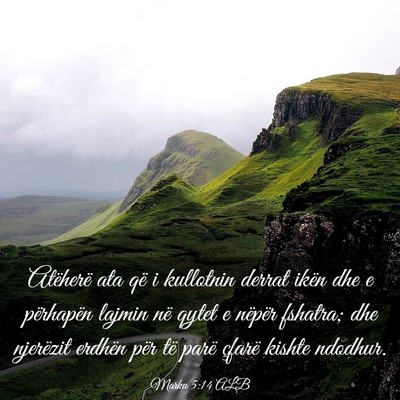 Picture 03 - Marku 5:14 ALB - Atëherë ata që i kullotnin derrat ikën dhe e - Bible Verse Picture