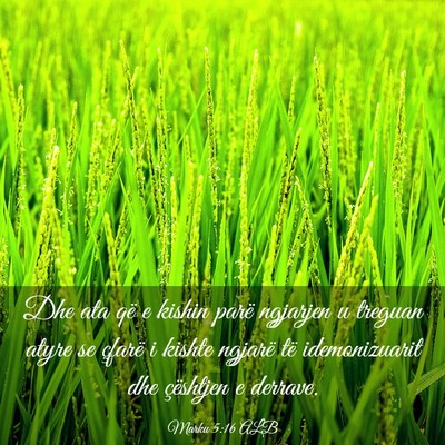 Picture 03 - Marku 5:16 ALB - Dhe ata që e kishin parë ngjarjen u treguan - Bible Verse Picture