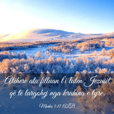 Picture 03 - Marku 5:17 ALB - Atëhere ata filluan t’i luten Jezusit që të - Bible Verse Picture