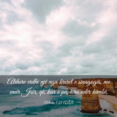 Picture 03 - Marku 5:22 ALB - Atëhere erdhi një nga krerët e sinagogës, me - Bible Verse Picture