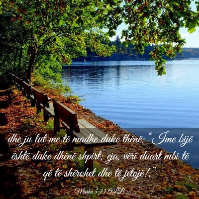 Picture 03 - Marku 5:23 ALB - dhe ju lut me të madhe duke thënë: “Ime - Bible Verse Picture