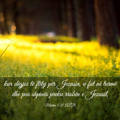 Picture 03 - Marku 5:27 ALB - kur dëgjoi të flitej për Jezusin, u fut në - Bible Verse Picture