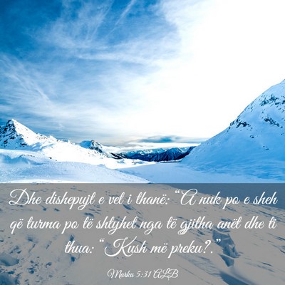 Picture 03 - Marku 5:31 ALB - Dhe dishepujt e vet i thanë: “A nuk po e sheh - Bible Verse Picture
