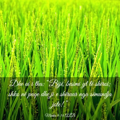 Picture 03 - Marku 5:34 ALB - Dhe ai i tha: “Bijë, besimi yt të shëroi; - Bible Verse Picture