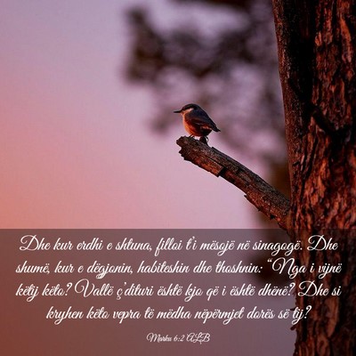 Picture 03 - Marku 6:2 ALB - Dhe kur erdhi e shtuna, filloi t’i mësojë në - Bible Verse Picture