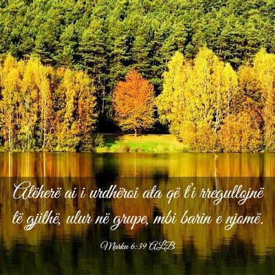Picture 03 - Marku 6:39 ALB - Atëherë ai i urdhëroi ata që t’i - Bible Verse Picture