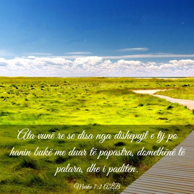 Picture 03 - Marku 7:2 ALB - Ata vunë re se disa nga dishepujt e tij po hanin - Bible Verse Picture