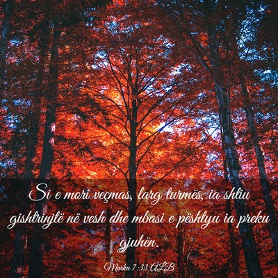 Picture 03 - Marku 7:33 ALB - Si e mori veçmas, larg turmës, ia shtiu - Bible Verse Picture