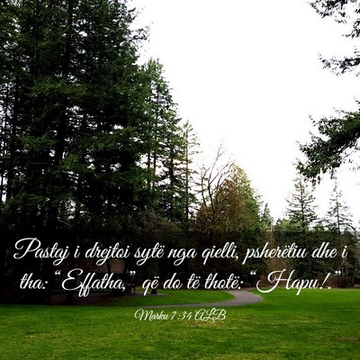 Picture 03 - Marku 7:34 ALB - Pastaj i drejtoi sytë nga qielli, psherëtiu dhe - Bible Verse Picture