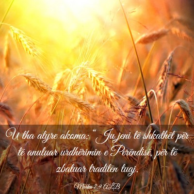 Picture 03 - Marku 7:9 ALB - U tha atyre akoma: “Ju jeni të shkathët për - Bible Verse Picture