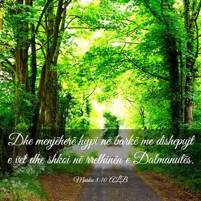 Picture 03 - Marku 8:10 ALB - Dhe menjëherë hypi në barkë me dishepujt e - Bible Verse Picture