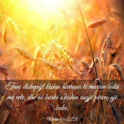 Picture 03 - Marku 8:14 ALB - Tani dishepujt kishin harruar të marrin bukë me - Bible Verse Picture