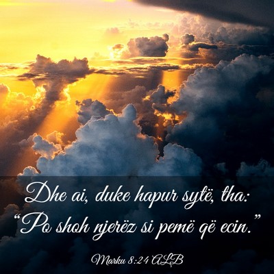 Picture 03 - Marku 8:24 ALB - Dhe ai, duke hapur sytë, tha: “Po shoh njerëz - Bible Verse Picture