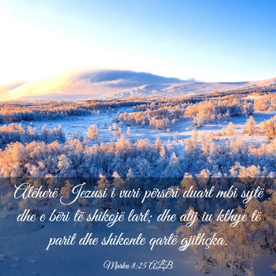 Picture 03 - Marku 8:25 ALB - Atëherë Jezusi i vuri përsëri duart mbi sytë - Bible Verse Picture