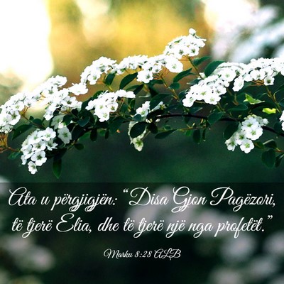Picture 03 - Marku 8:28 ALB - Ata u përgjigjën: “Disa Gjon Pagëzori, të - Bible Verse Picture
