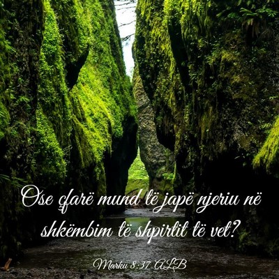 Picture 03 - Marku 8:37 ALB - Ose çfarë mund të japë njeriu në shkëmbim - Bible Verse Picture