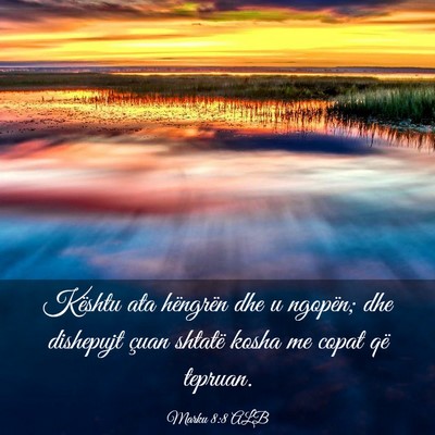 Picture 03 - Marku 8:8 ALB - Kështu ata hëngrën dhe u ngopën; dhe - Bible Verse Picture