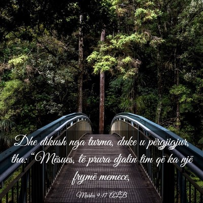 Picture 03 - Marku 9:17 ALB - Dhe dikush nga turma, duke u përgjigjur, tha: - Bible Verse Picture