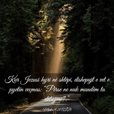 Picture 03 - Marku 9:28 ALB - Kur Jezusi hyri në shtëpi, dishepujt e vet e - Bible Verse Picture