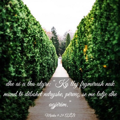 Picture 03 - Marku 9:29 ALB - dhe ai u tha atyre: “Ky lloj frymërash nuk - Bible Verse Picture