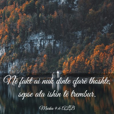 Picture 03 - Marku 9:6 ALB - Në fakt ai nuk dinte çfarë thoshte, sepse ata - Bible Verse Picture