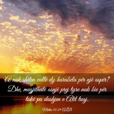 Picture 03 - Mateu 10:29 ALB - A nuk shiten vallë dy harabela për një aspër? - Bible Verse Picture