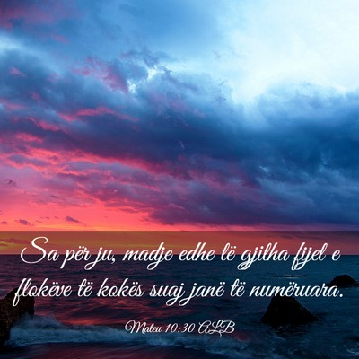 Picture 03 - Mateu 10:30 ALB - Sa për ju, madje edhe të gjitha fijet e - Bible Verse Picture
