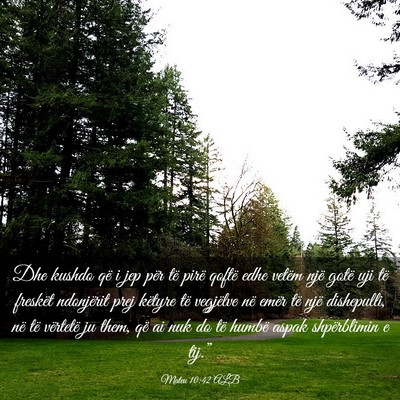 Picture 03 - Mateu 10:42 ALB - Dhe kushdo që i jep për të pirë qoftë edhe - Bible Verse Picture