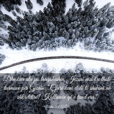 Picture 03 - Mateu 11:7 ALB - Dhe kur ata po largoheshin, Jezusi nisi t’u - Bible Verse Picture