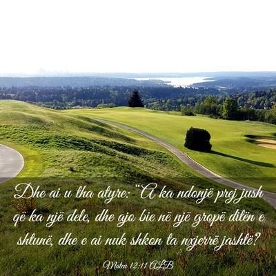 Picture 03 - Mateu 12:11 ALB - Dhe ai u tha atyre: “A ka ndonjë prej jush që - Bible Verse Picture