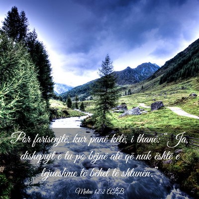 Picture 03 - Mateu 12:2 ALB - Por farisenjtë, kur panë këtë, i thanë: - Bible Verse Picture