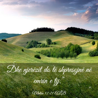 Picture 03 - Mateu 12:21 ALB - Dhe njerëzit do të shpresojnë në emrin e - Bible Verse Picture