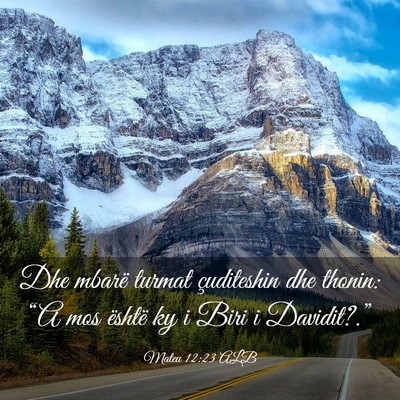 Picture 03 - Mateu 12:23 ALB - Dhe mbarë turmat çuditeshin dhe thonin: “A - Bible Verse Picture
