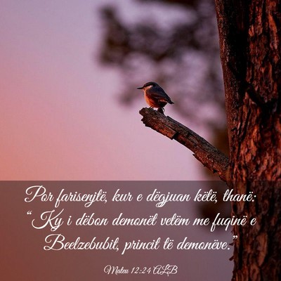 Picture 03 - Mateu 12:24 ALB - Por farisenjtë, kur e dëgjuan këtë, thanë: - Bible Verse Picture