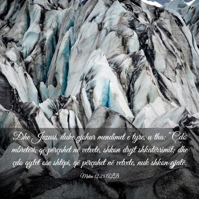Picture 03 - Mateu 12:25 ALB - Dhe Jezusi, duke njohur mendimet e tyre, u tha: - Bible Verse Picture