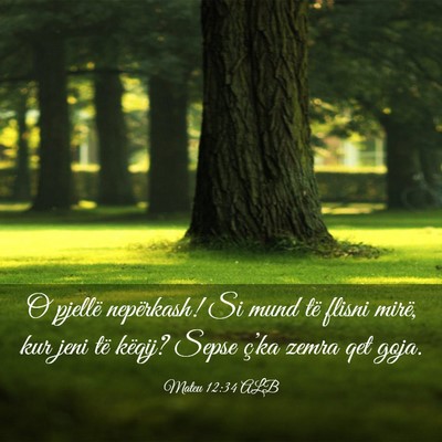 Picture 03 - Mateu 12:34 ALB - O pjellë nepërkash! Si mund të flisni mirë, - Bible Verse Picture
