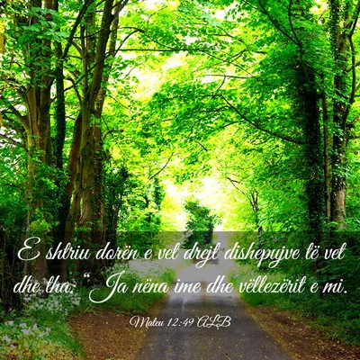 Picture 03 - Mateu 12:49 ALB - E shtriu dorën e vet drejt dishepujve të vet - Bible Verse Picture