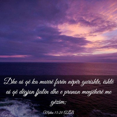 Picture 03 - Mateu 13:20 ALB - Dhe ai që ka marrë farën nëpër gurishte, - Bible Verse Picture