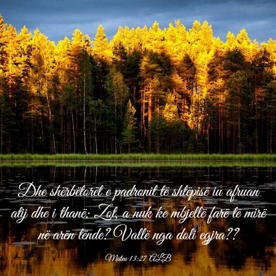 Picture 03 - Mateu 13:27 ALB - Dhe shërbëtorët e padronit të shtëpisë iu - Bible Verse Picture