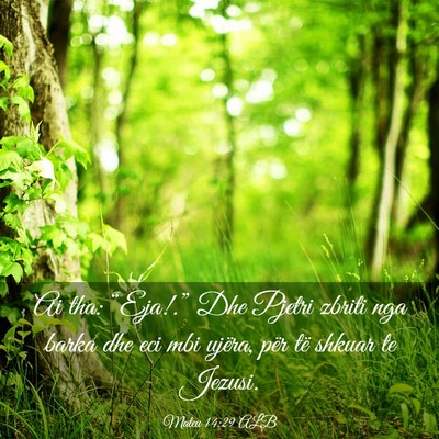 Picture 03 - Mateu 14:29 ALB - Ai tha: “Eja!.” Dhe Pjetri zbriti nga barka - Bible Verse Picture