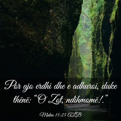 Picture 03 - Mateu 15:25 ALB - Por ajo erdhi dhe e adhuroi, duke thënë: “O - Bible Verse Picture
