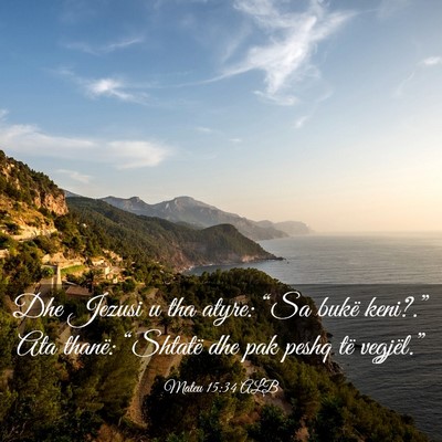 Picture 03 - Mateu 15:34 ALB - Dhe Jezusi u tha atyre: “Sa bukë keni?.” Ata - Bible Verse Picture