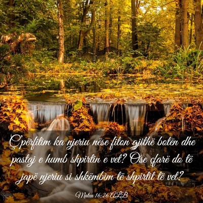 Picture 03 - Mateu 16:26 ALB - Ç’përfitim ka njeriu nëse fiton gjithë - Bible Verse Picture