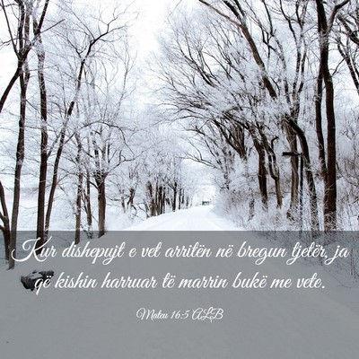 Picture 03 - Mateu 16:5 ALB - Kur dishepujt e vet arritën në bregun tjetër, - Bible Verse Picture